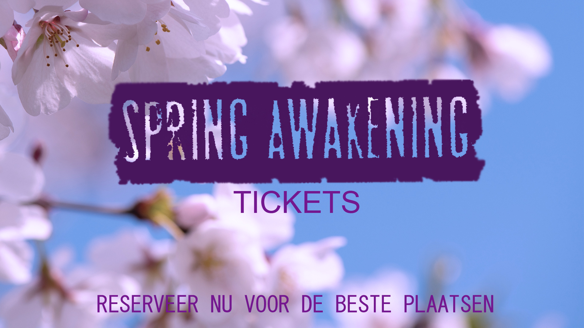 Ticketservice Spring Awakening